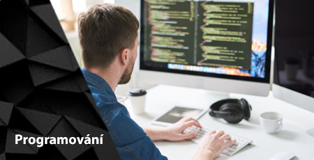 Programování Loxone na dálku